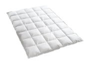 Bio Winter Bettdecke 135x200 cm WARM